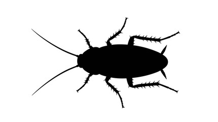 Cockroach silhouette, insect icon, black bug, pest control symbol, vector illustration isolated on White Background © MD. SAYED