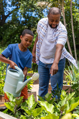 African American father and son pouring water into raised planter backyard using green watering can © wavebreak3