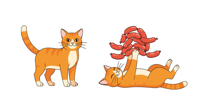 Playful ginger tabby cat shown standing normally and rolling on its back while holding a giant string of sausages.