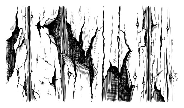 Distressed wooden wall texture with peeling paint vector sketch of weathered timber surface and old nails