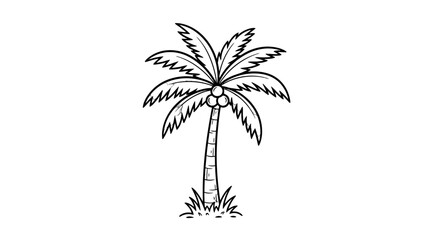 Fototapeta premium Simple black outline illustration of a coconut palm tree with coconuts, symbolizing tropical landscapes and vacation, on an isolated white background.