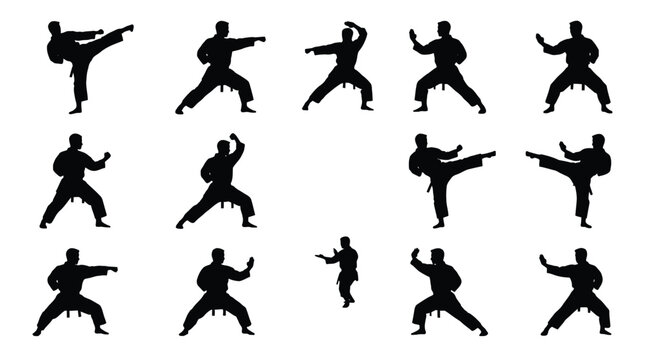 Multiple black silhouettes of a karate practitioner performing various dynamic martial arts fighting stances and kicks