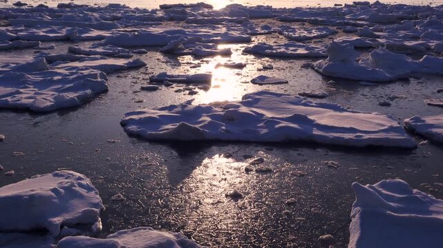 朝の流氷と根室湾