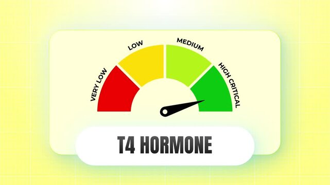 T4 Hormone Level Diagnostic Gauge Animation with Moving Speedometer Needle for Thyroid Testing and Endocrine Health Concept 4k video