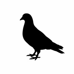 Fototapeta premium Black bird silhouette, pigeon icon, bird illustration, animal design isolated on White Background