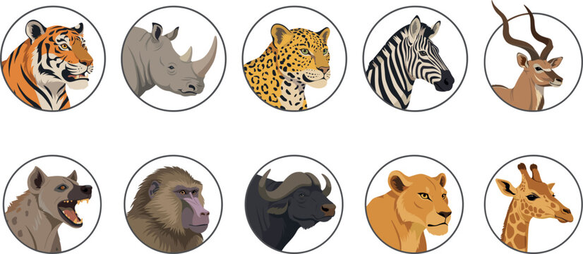 Wild Safari and Jungle Animals Portrait Vector Circular Icon Set with Tiger Rhinoceros Leopard Zebra Antelope Hyena Baboon Buffalo Lioness and Giraffe