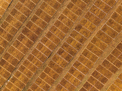 Aerial view of golden-brown tobacco leaves spread out on rectangular mats to dry in the sun, forming geometric patterns in Temanggung Regency, Central Java, Indonesia.