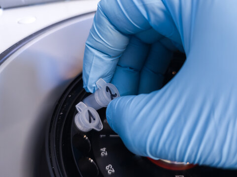Brussels, Belgium. Laboratory technician placing DNA sample microcentrifuge tubes into a centrifuge during DNA extraction