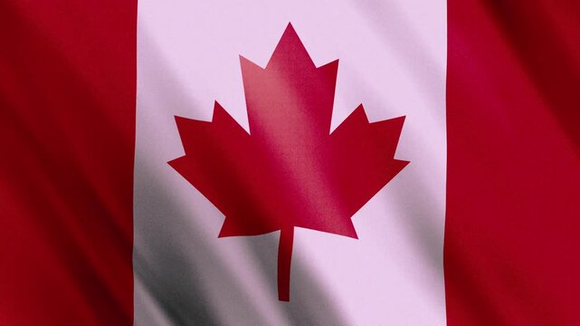 Waving flag of Canada in 3D close up loop &mdash; The Maple Leaf red and white national symbol