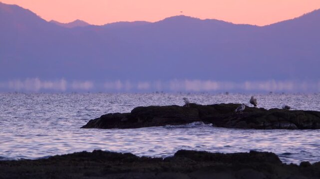 寿都湾の朝のけあらしと蜃気楼