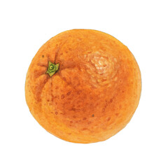 Hand-drawn watercolor painting of a bright, juicy orange with a green stem isolated on white background. Vibrant citrus fruit illustration. Artistic, authentic, and colorful style. © roman3d