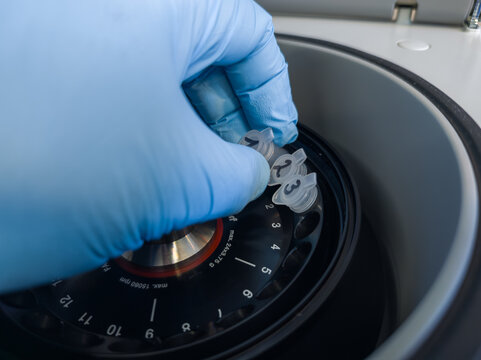 Brussels, Belgium. Loading labeled DNA extraction microcentrifuge tubes into a laboratory centrifuge