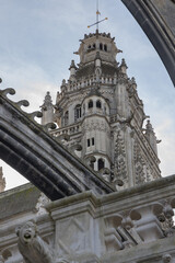 Obraz premium Cathédrale de Tours vue arrière