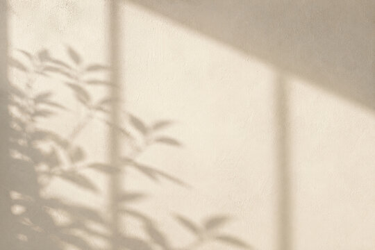 Soft plant shadow on textured beige wall