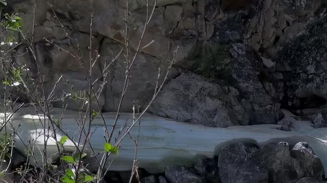 Water gracefully cascades over rugged rocks into a flowing stream at Lake Khuvsgul, Mongolia. Fresh green leaves sprout on bare branches, celebrating the awakening of spring and the grand thaw.