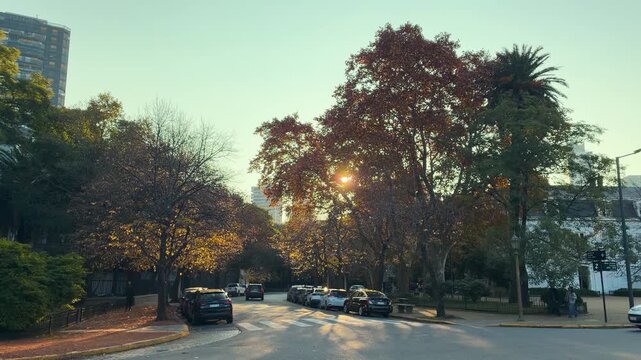 Autumn Street in Palermo, Buenos Aires City with Parked Cars and Warm Sunlight through the trees, Argentina