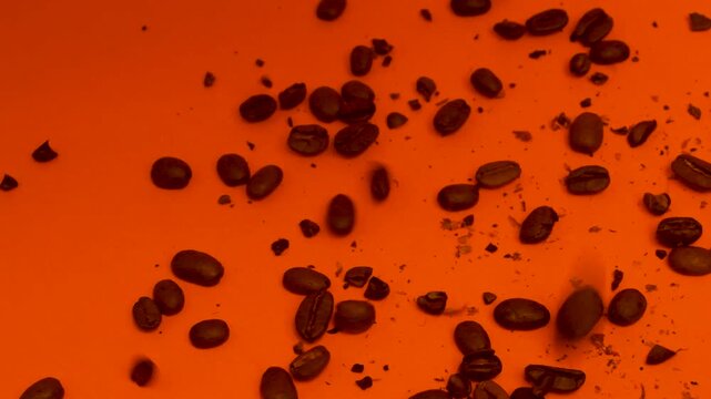 Fresh Coffee Beans Falling on Colored Paper Background &mdash; Slow Motion Studio Video