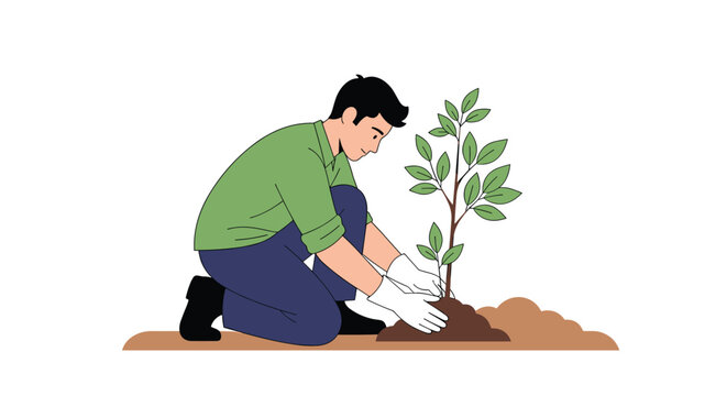 Young man kneeling on the ground and carefully planting a small sapling tree into the soil for environmental growth and reforestation.