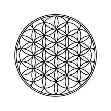 flower of life