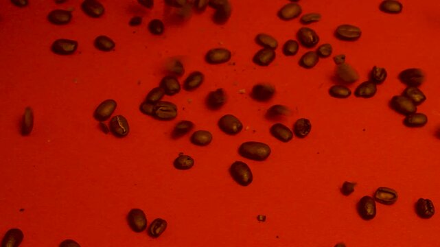 Fresh Coffee Beans Falling on Colored Paper Background &mdash; Slow Motion Studio Video