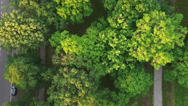 Drohnenflug &uuml;ber Park der Opfer des Faschismus in Chemnitz, Blick nach unten, Schwenk auf die Stadtmitte, 4K, 