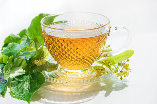 Linden tea cup with fresh linden flowers and leaves