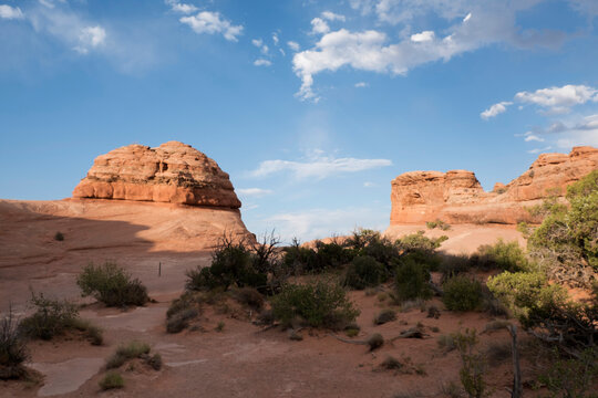 Rock formations in an alien landscape in Moab Utah. Summer day in the desert in Arches National Park. Vast wilderness, desert and a few plants. View of vast landscape in Arches National Park.
