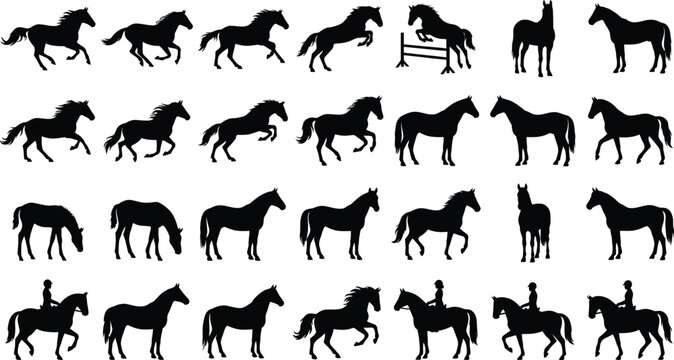Black and white of a diverse herd of running horses galloping