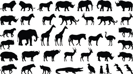 Fototapeta premium Black and white of a herd of running elephants, isolated on white background