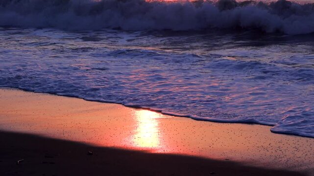 朝の海（太平洋）