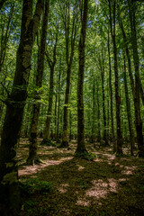 Fototapeta premium Campitello di Sepino. Mountain landscape of Molise.