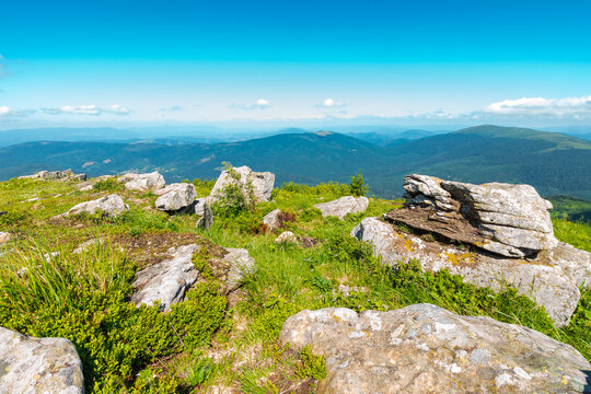 mountain landscape with stones and grass. view of carpthian mountains in summer. white sharp stones on the rolling hills on top of mountain range under blue sky