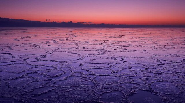 根室湾の朝　ハスの葉氷
