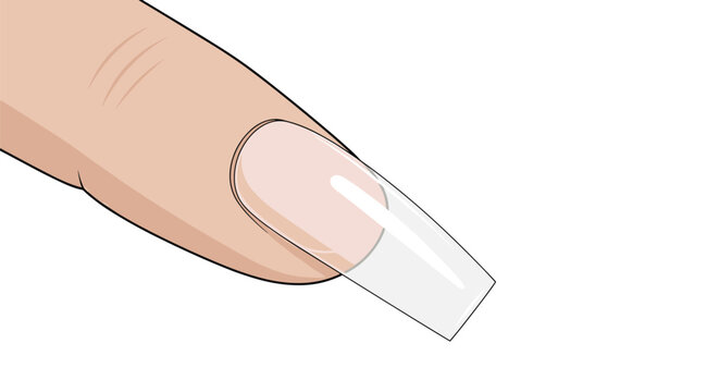 Close up of a human finger displaying a long transparent acrylic fake nail tip extension on a white backdrop.