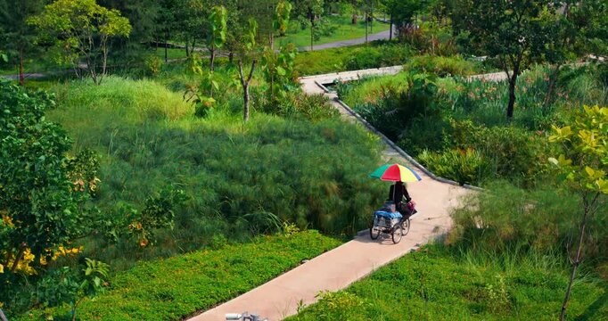 Person rides tricycle along winding park path under colorful umbrella through lush green garden landscape with trees and tall grass, moving away across curved walkway in calm outdoor recreation