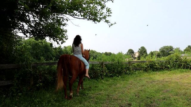 A bareback rider in a country pasture rides by an old fence