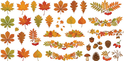 Autumn decorative elements set with colorful fall leaves branches berries acorns pinecones and wild mushrooms © MST HASMOTARA