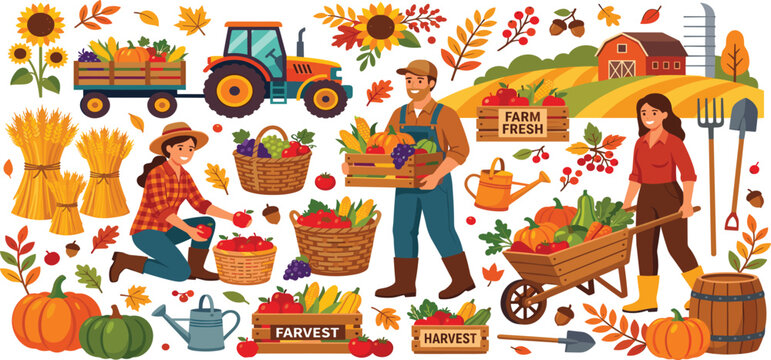 Autumn harvest farm element vector set with local farmers tractor pumpkins and fresh vegetables