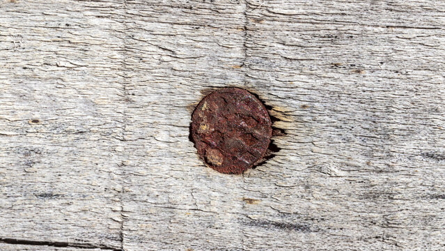Rusty Old Nail Embedded in Weathered Wooden Board