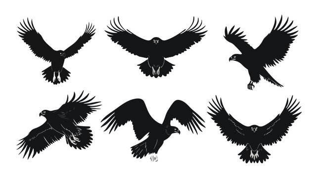Eagle silhouette collection, set of 6 flying hawk and falcon vector shapes, majestic black bird of prey icons isolated on white background