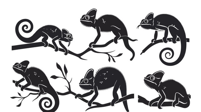 Chameleon silhouette vector set, black lizard reptile icons on white background, exotic tropical animal collection for logo design and branding