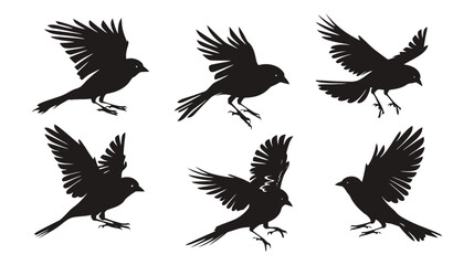 Obraz premium Black bird silhouette collection, set of 6 flying sparrow and crow vector icons, minimalist wild bird wing shapes for nature logos