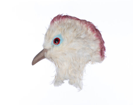 Bird mask isolated on white background