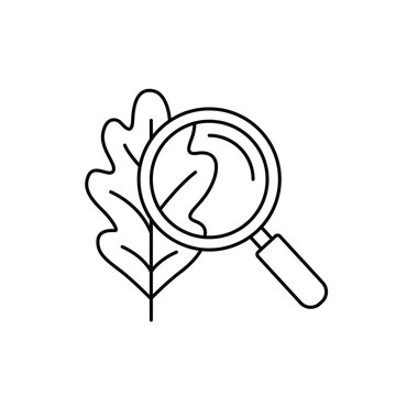Magnifying glass examining a leaf

