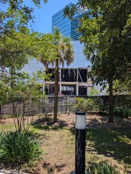 Downtown Jacksonville: Buildings and Art