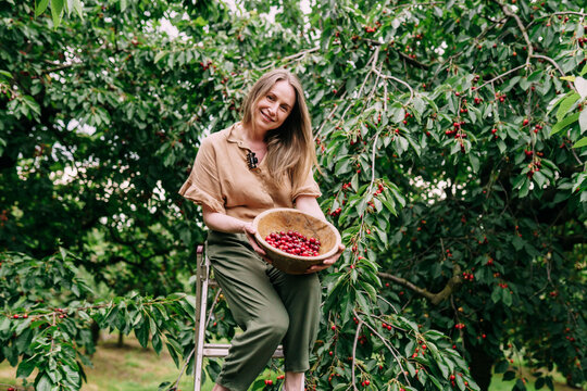 Happy Woman Showing Fresh Cherries In Wooden Bowl In Orchard
