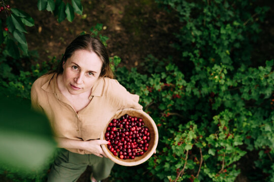 Calm Woman Holding Bowl Of Cherries And Looking Up In Garden