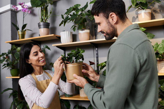 A friendly florist helps a man explore vibrant plants in a charming shop.
