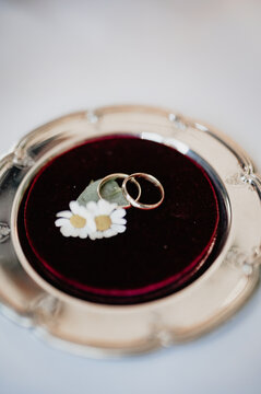 Wedding rings on a velvet cushion with daisies