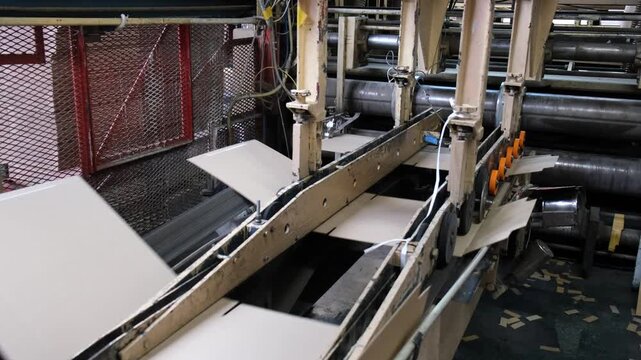 Industrial automated machinery folding and transporting cardboard boxes along a conveyor system inside a modern packaging manufacturing factory.